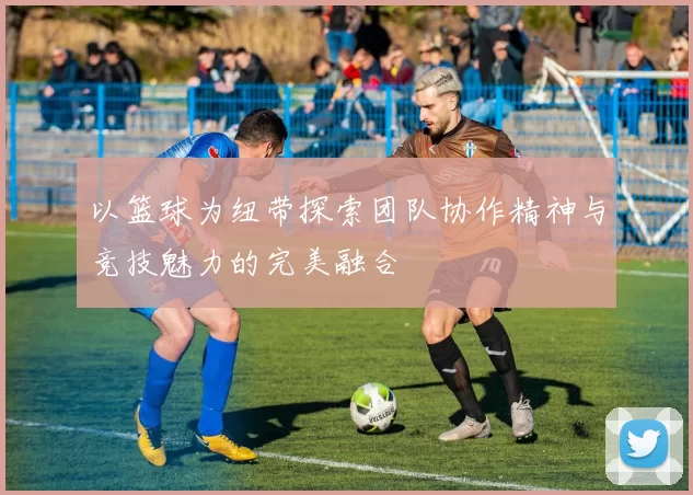 以篮球为纽带探索团队协作精神与竞技魅力的完美融合