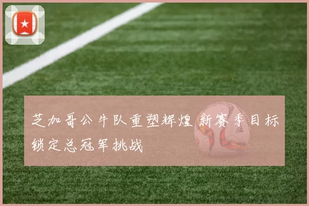 芝加哥公牛队重塑辉煌 新赛季目标锁定总冠军挑战