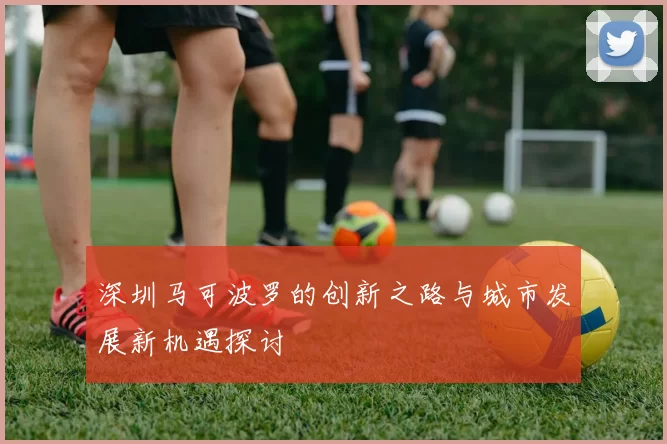 深圳马可波罗的创新之路与城市发展新机遇探讨