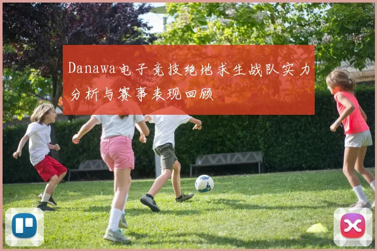 Danawa电子竞技绝地求生战队实力分析与赛事表现回顾