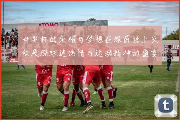 世界杯的荣耀与梦想在绿茵场上交织展现球迷热情与运动精神的盛宴