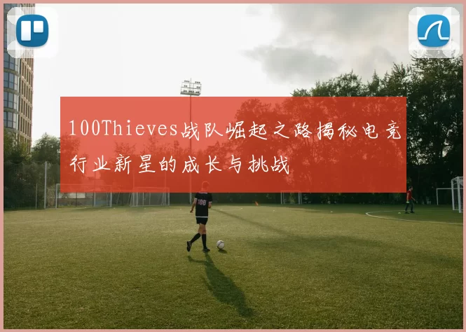 100Thieves战队崛起之路揭秘电竞行业新星的成长与挑战