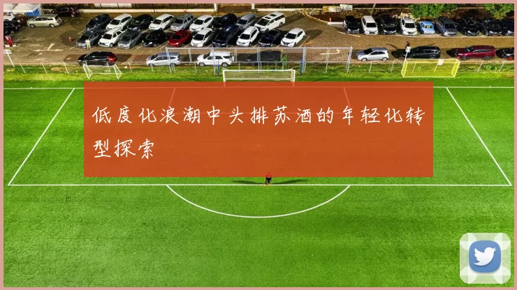 低度化浪潮中头排苏酒的年轻化转型探索