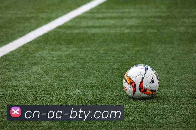 b体育官网平台生态图